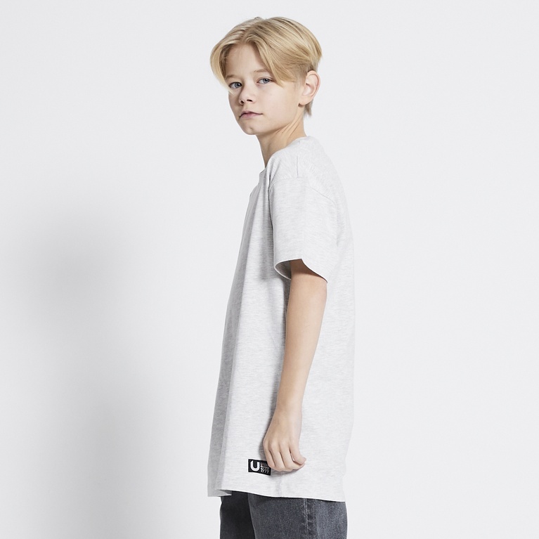 Printed tee "Wilson" Grey melange 4